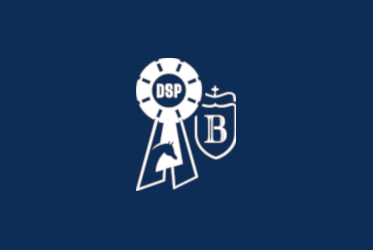 Brandzeichen Deutsches Sportpferd blauer Hintergrund