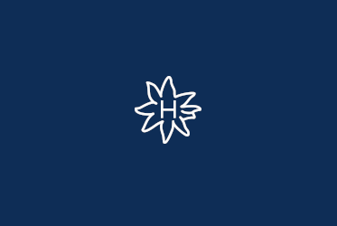 Brandzeichen Haflinger blauer Hintergrund